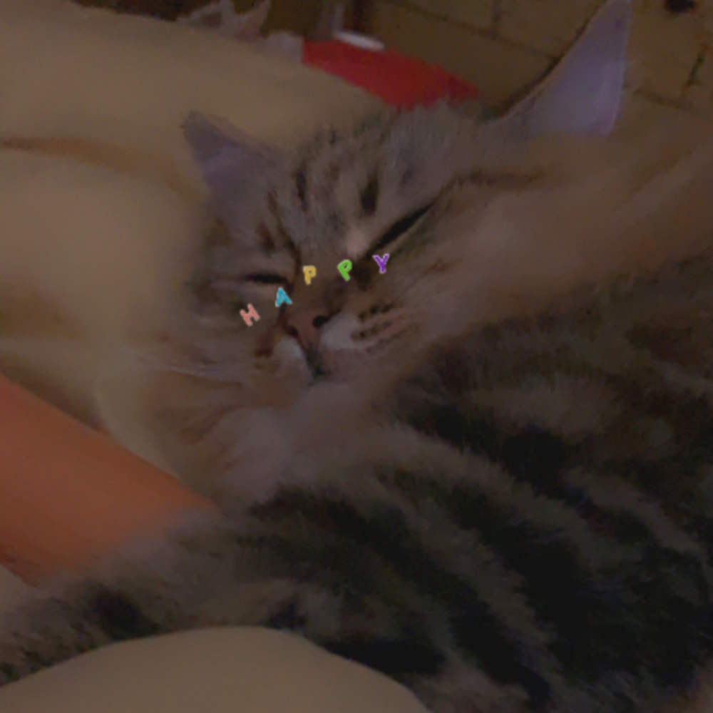 Meet your Posher, Wanwood